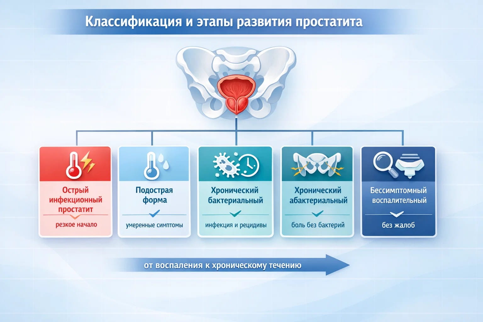 Инфографика с классификацией простатита: острый, подострый, хронический бактериальный, абактериальный и бессимптомный.