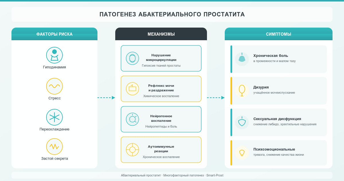Патогенез абактериального простатита: факторы риска, механизмы развития и основные симптомы.