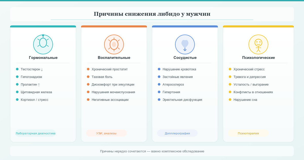 Причины снижения либидо у мужчин: гормональные, воспалительные, сосудистые и психологические факторы.