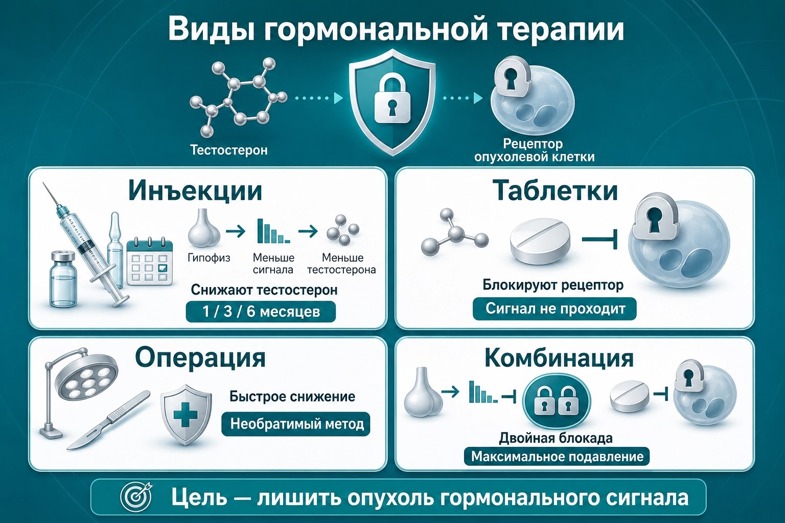 Медицинская инфографика о четырёх видах гормональной терапии при раке простаты: инъекции, таблетки, операция и комбинированная блокада.