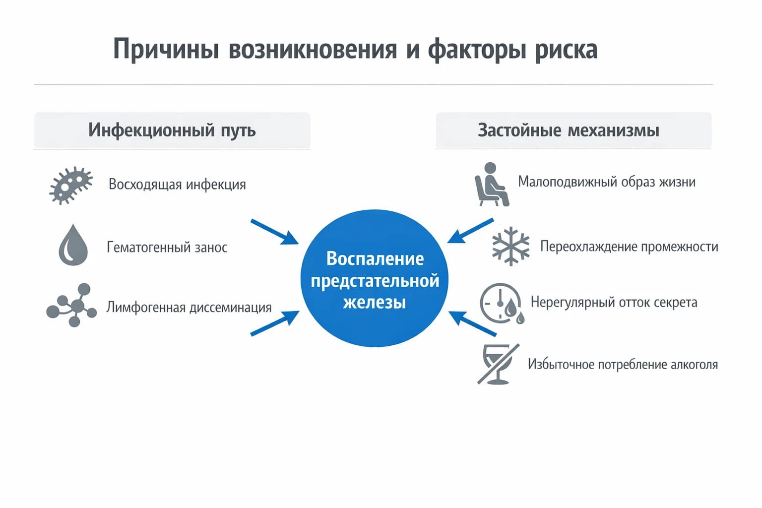 Схема факторов риска простатита, включая инфекционные пути и застойные явления в организме.