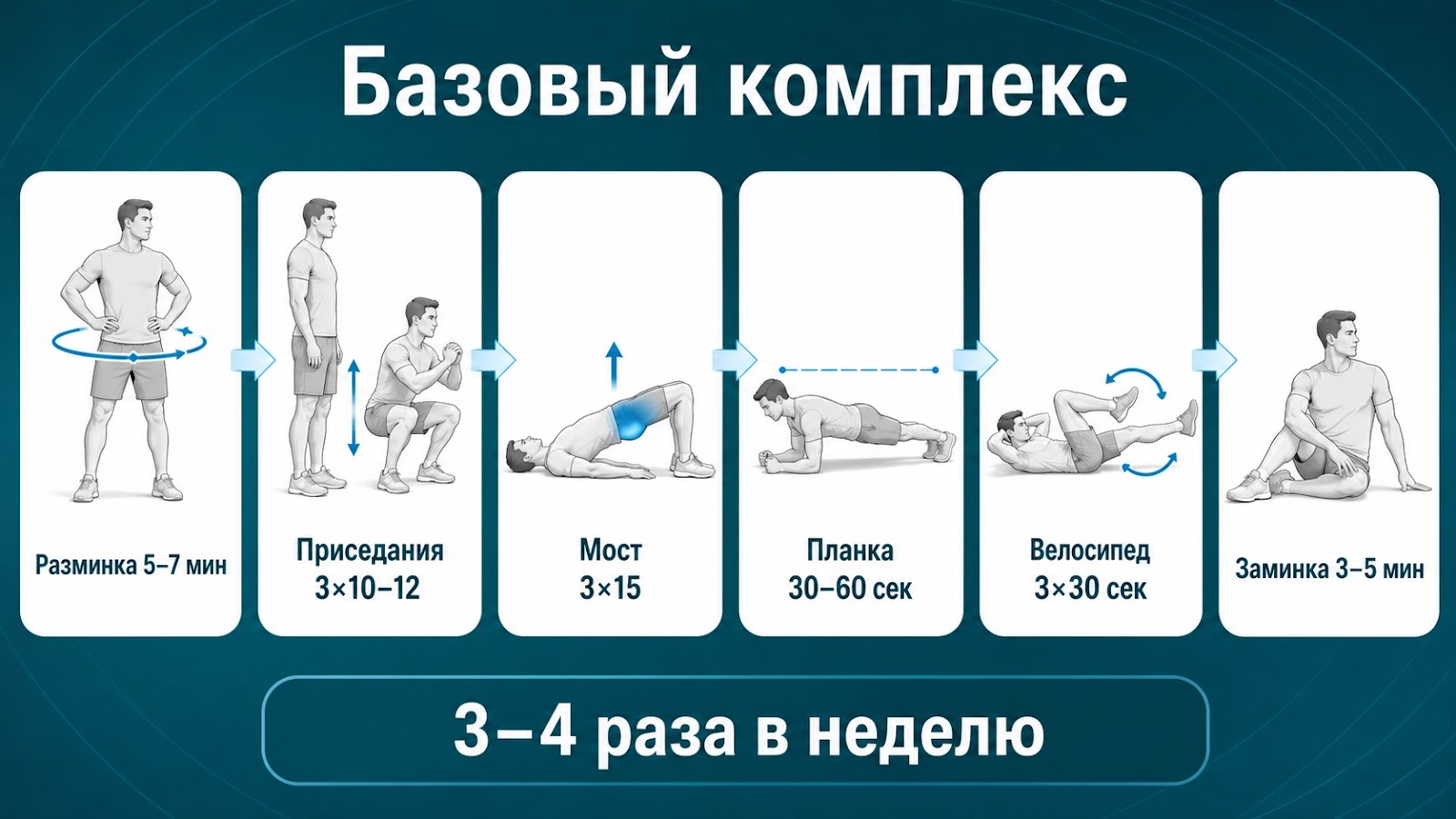Пошаговая схема базового комплекса упражнений для мужского здоровья: разминка, приседания, глютовый мост, планка, велосипед и заминка.